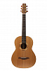 N17GAASNRW №17 Акустическая гитара, NewTone