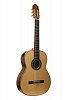 SCCLASCTNRW Soloist "Concert" Классическая гитара, NewTone