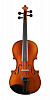 920A-1/2 Ravena Скрипка студенческая 1/2, Strunal