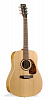 021000 Protege B18 Cedar Акустическая гитара, Norman