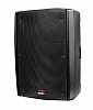 B2-115-power Активная акустическая система, 450Вт, Biema