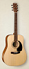 029099 Woodland Spruce Акустическая гитара, Simon & Patrick