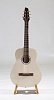 RHNG6A017 Акустическая гитара, Neva Guitars