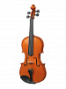 PS-V044 Professional Gama Super Скрипка 4/4, Gliga