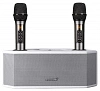 Karaoke Speaker G6 - Караоке колонка с двумя беспроводными микрофонами