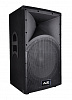 TA-12 Пассивная акустическая система, 300Вт, Ace Audio