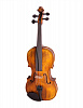 176-4/4 Скрипка концертная 4/4, Strunal