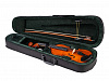 FLT-VP1/4 Скрипка в комплекте Fleet