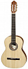 N1015 SM10 Cristal Классическая гитара Hora