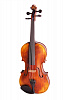 194-4/4 Pienza Скрипка концертная 4/4, Strunal