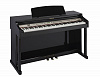 438PIA0248 CDP 31 Hi-Black Цифровое пианино, Orla