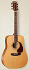 028955 Woodland Cedar Акустическая гитара, Simon & Patrick