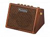 Crush-15 Комбоусилитель для электроакустической гитары, 15Вт, Flatsons