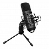 HH-5050U Студийный USB конденсаторный микрофон, Cascha
