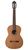 C770-4/4 Классическая гитара, Strunal