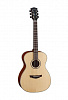 PW-220-NS Акустическая гитара, с чехлом, матовая, Parkwood